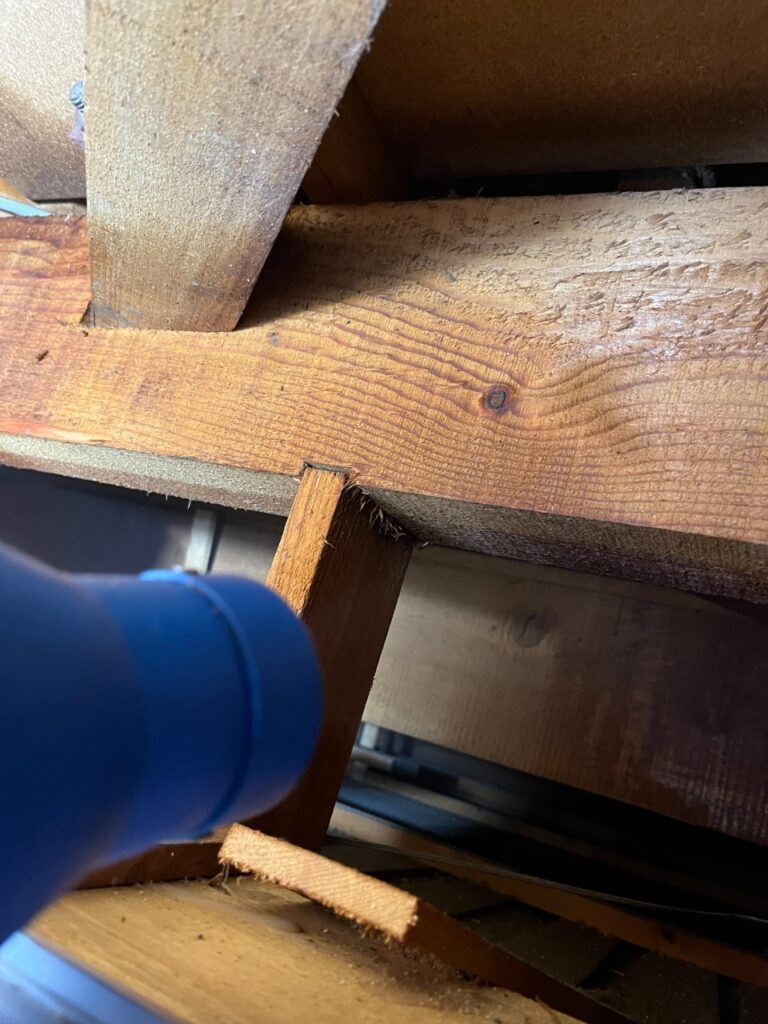 茨木市のコウモリ対策工事｜Ｉ様邸 12