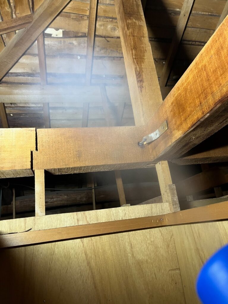 茨木市のコウモリ対策工事｜Ｉ様邸 13