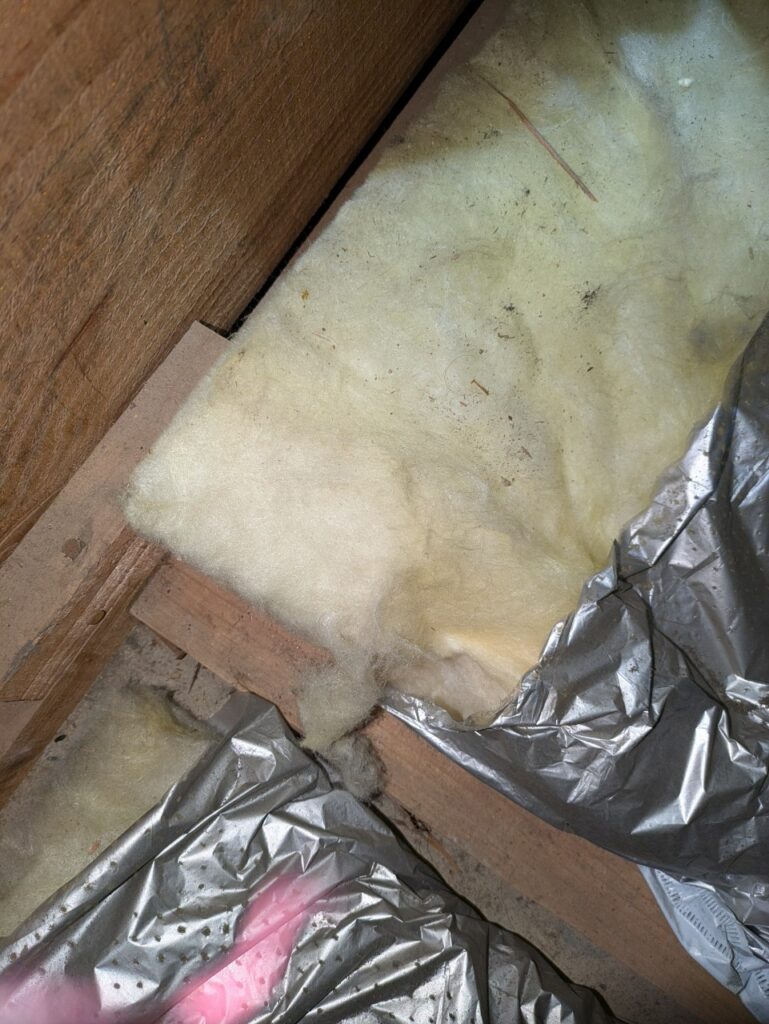 長崎市のイタチ対策工事｜Ｍ様邸 5