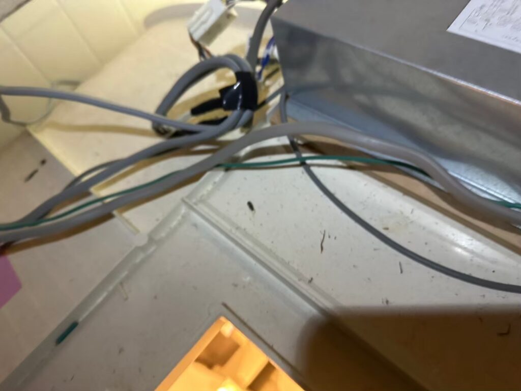 柳川市のネズミ・イタチ対策工事｜Ａ様邸 3