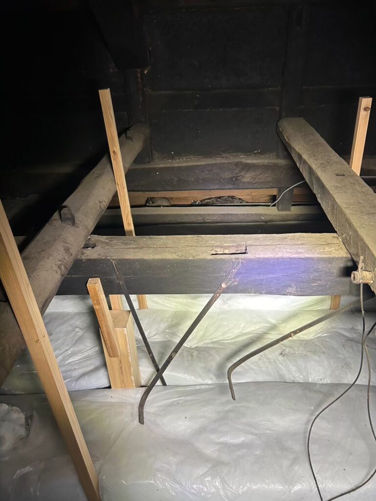 丹波篠山市のアライグマ対策工事|A様邸 2