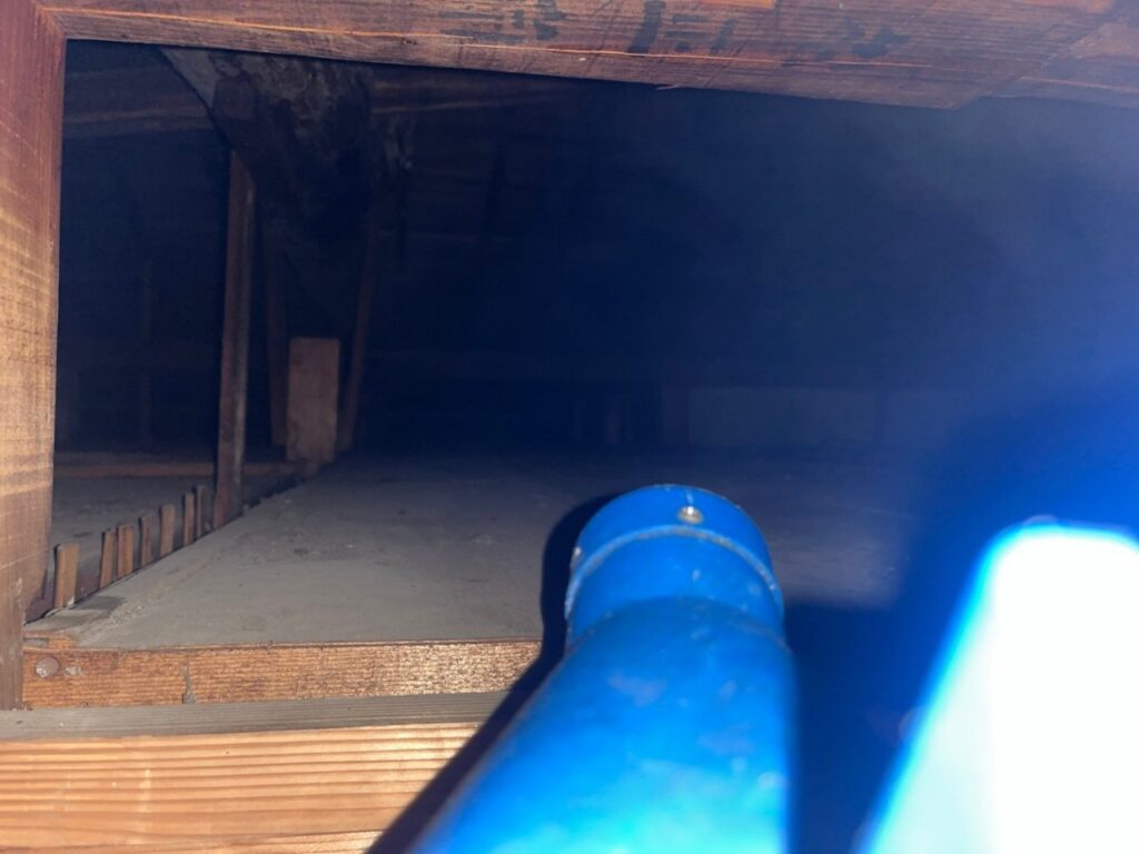 姫路市の小型害獣対策工事｜T様邸 2