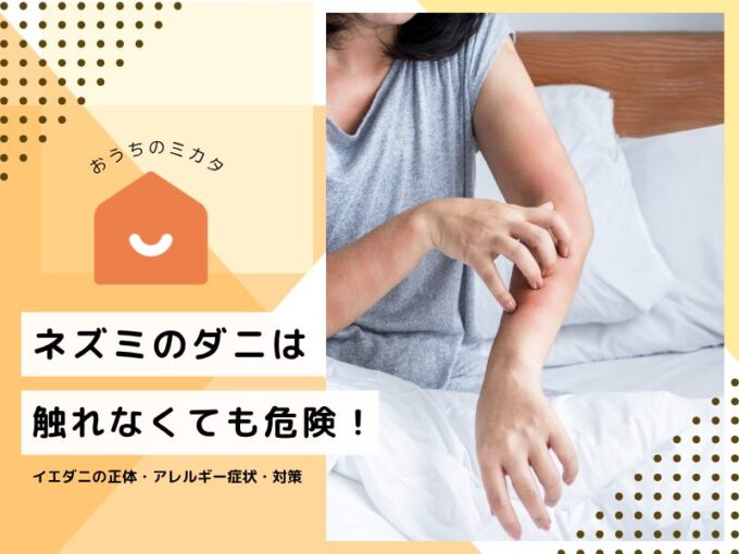ネズミのダニは触れなくても危険！イエダニの正体・アレルギー症状・対策を解説