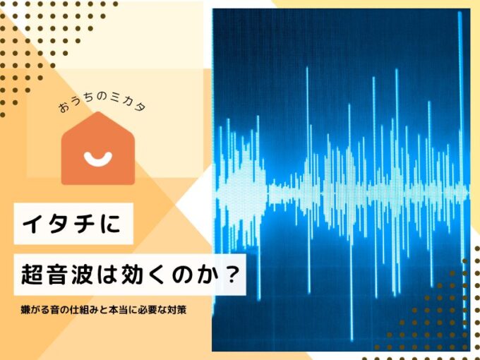 イタチに超音波は効くのか？嫌がる音の仕組みと本当に必要な対策を解説
