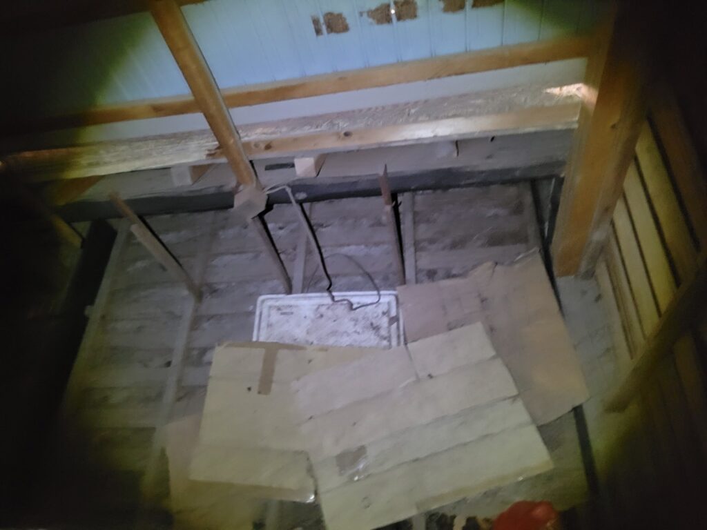 京丹後市のアライグマ対策工事|M様邸 1