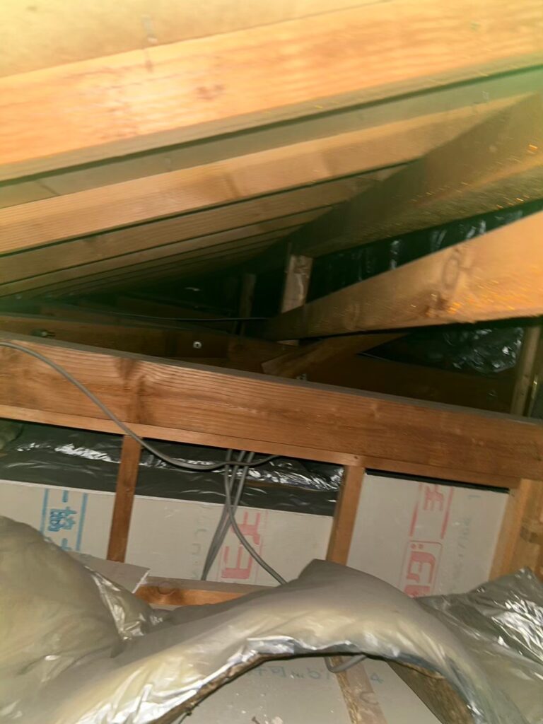 京都市のイタチ対策工事｜S様邸 2
