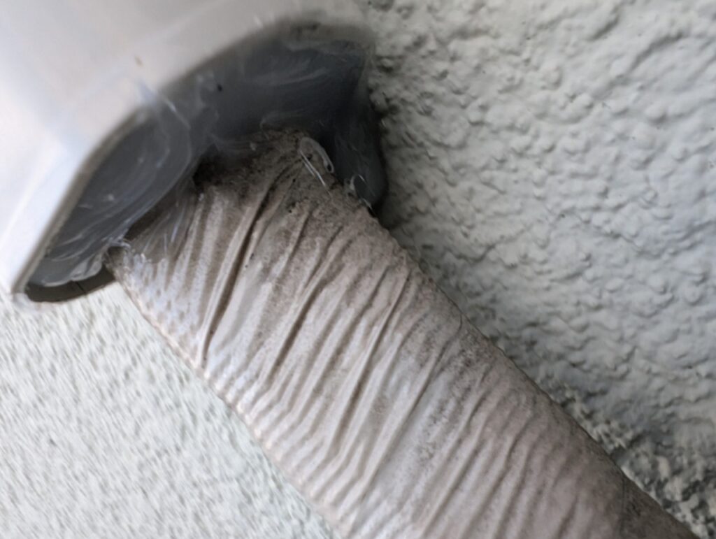大分市のネズミ・イタチ対策、白蟻予防、断熱材工事｜G様邸 12