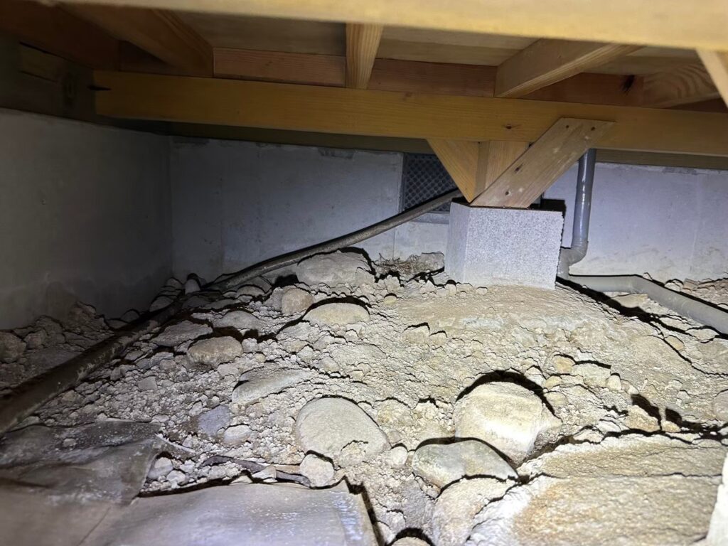 大分市のネズミ・イタチ対策、白蟻予防、断熱材工事｜G様邸 2