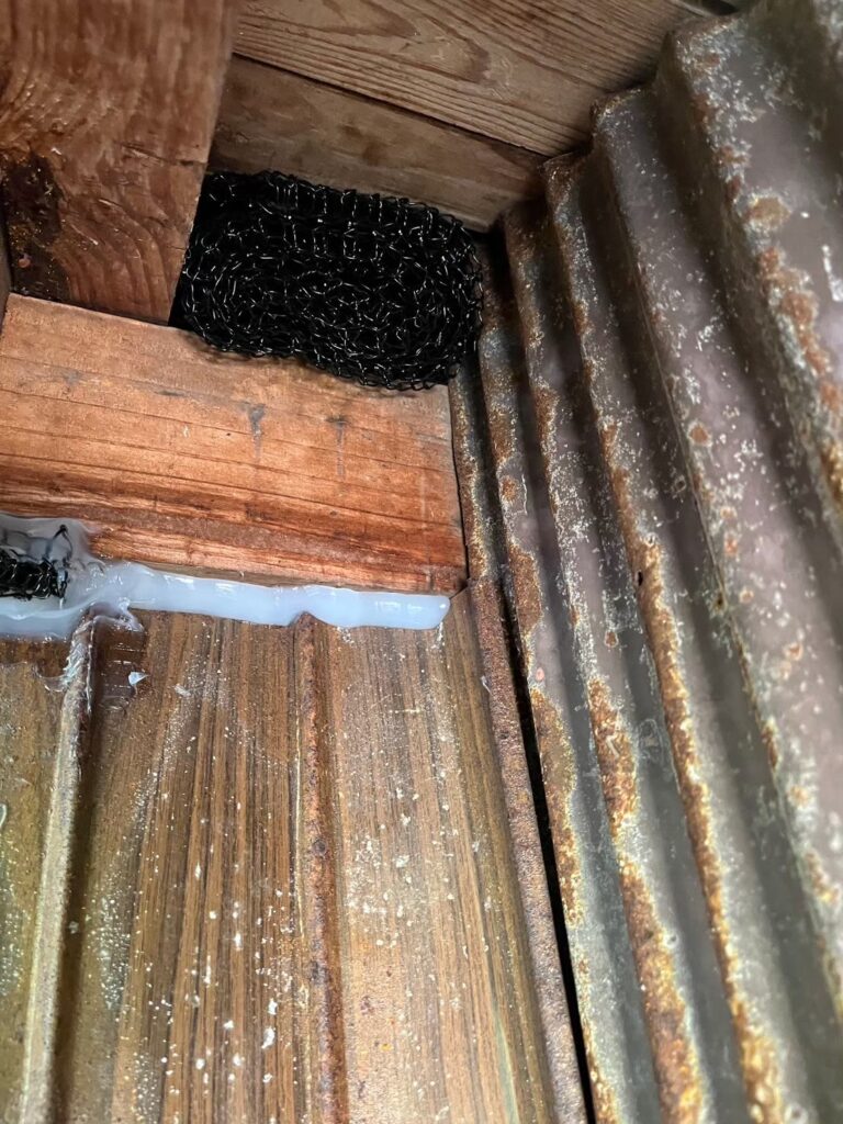 京丹後市のアライグマ対策工事|M様邸 6