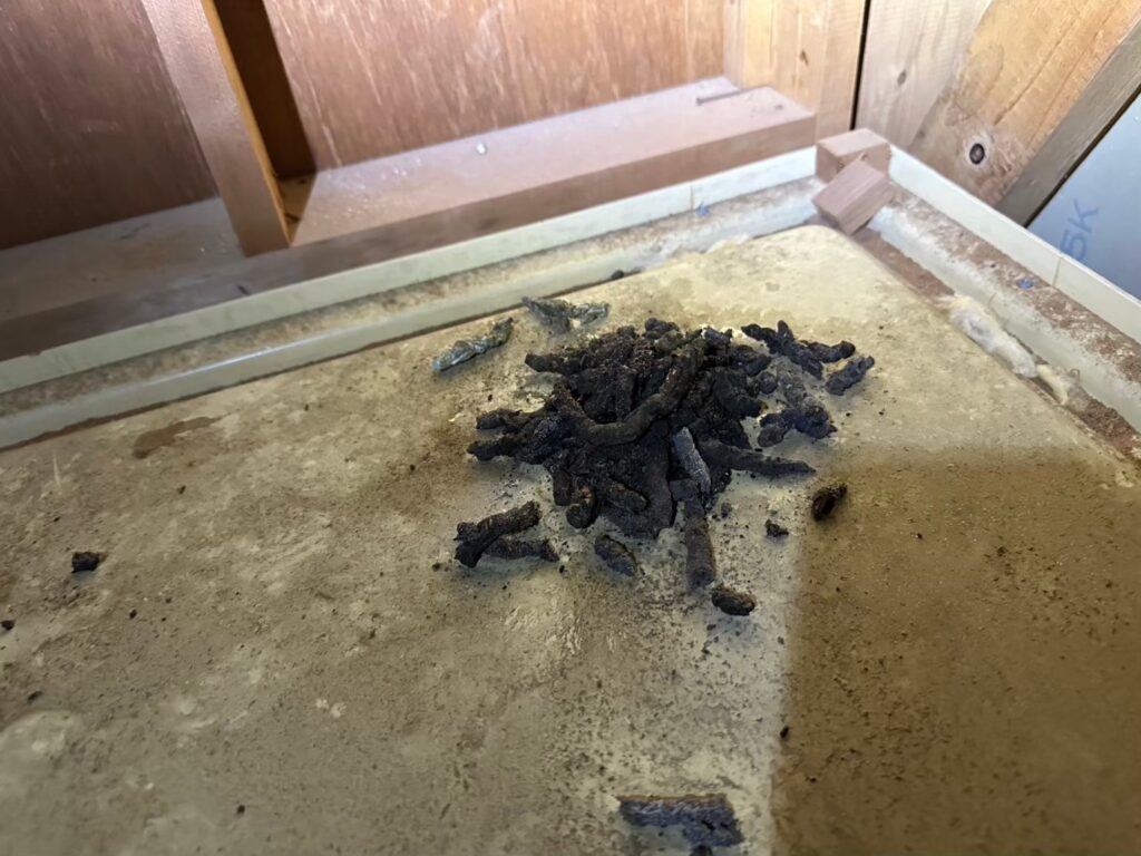大分市のネズミ・イタチ対策、白蟻予防、断熱材工事｜G様邸 6