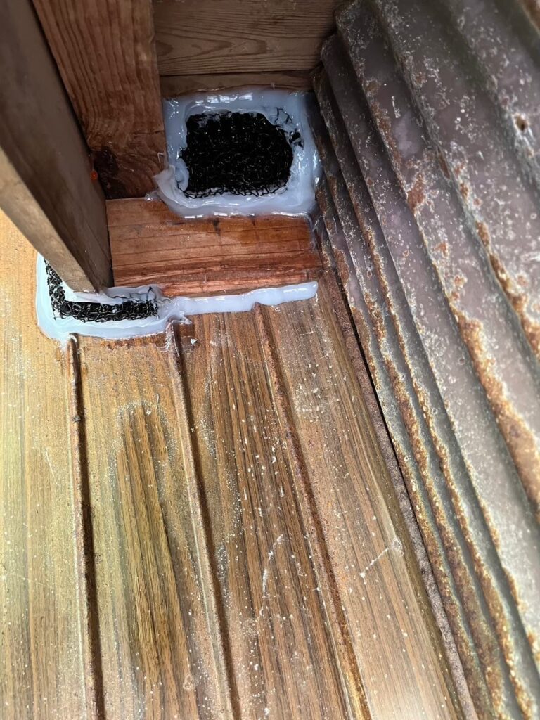 京丹後市のアライグマ対策工事|M様邸 7