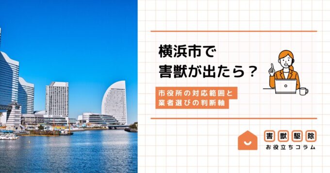 横浜市の害獣駆除を解説！市役所の対応範囲と業者選びの判断軸
