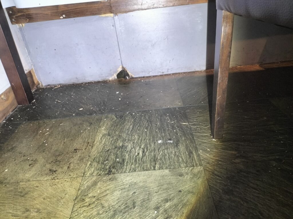 福岡市のネズミ対策工事一式|M様店舗 2