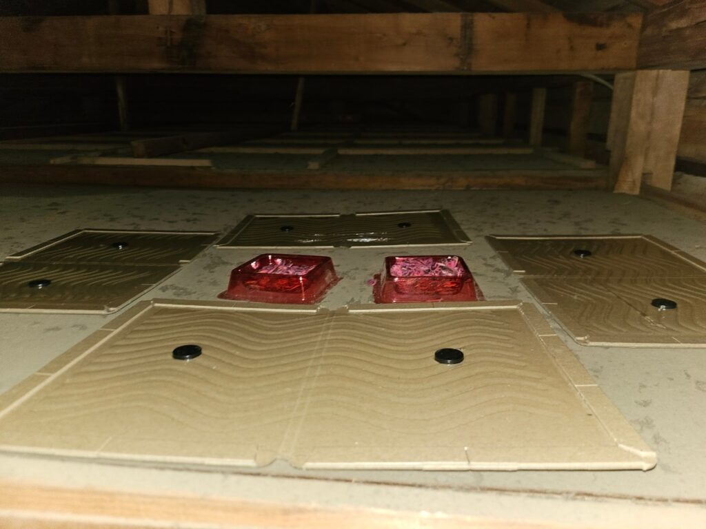 守谷市のネズミ対策工事｜O様邸 1