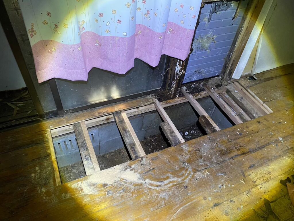 唐津市のアライグマ対策工事｜K様邸 12