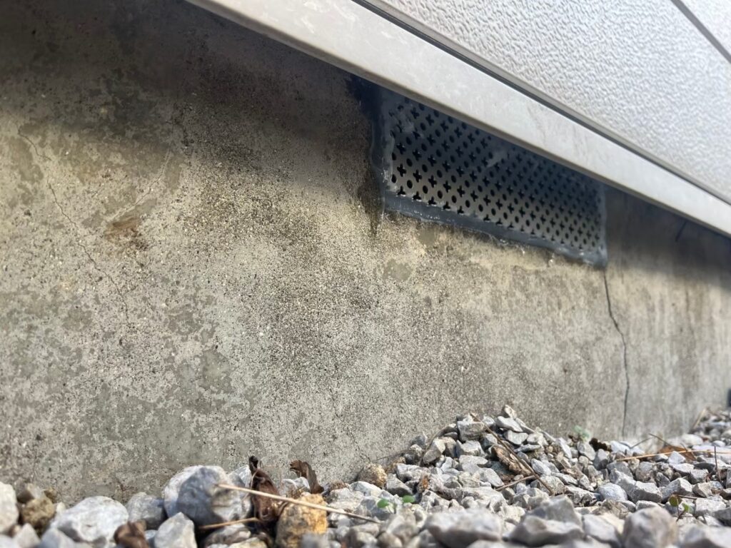 横浜市のアライグマ対策工事|Y様邸 17