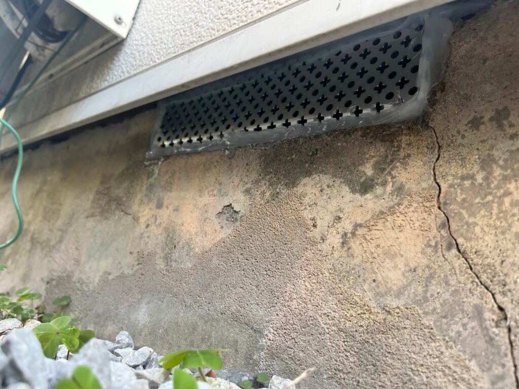 横浜市のアライグマ対策工事|Y様邸 16
