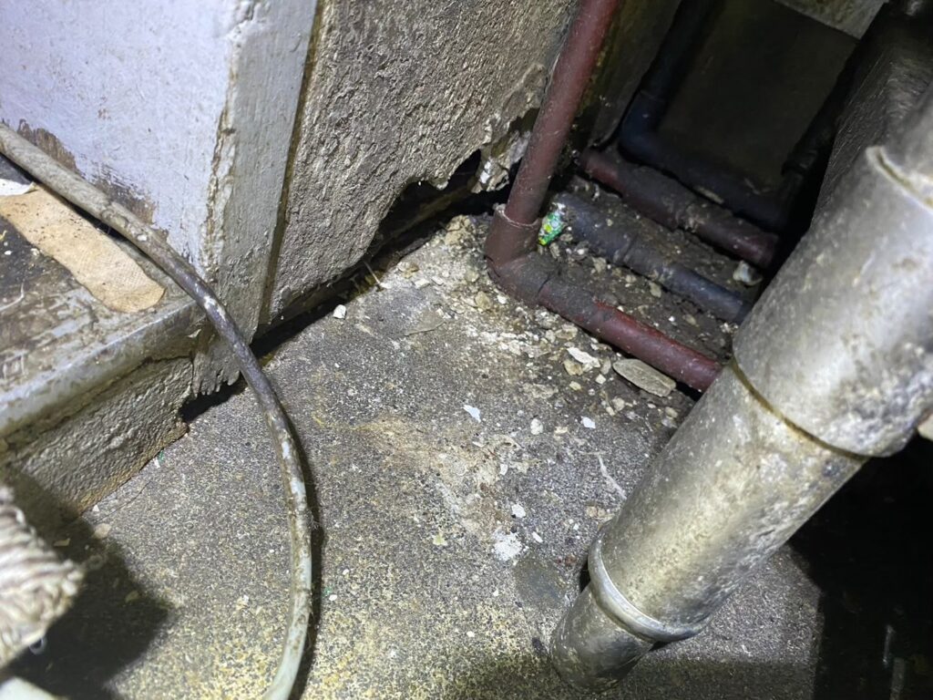 福岡市のネズミ対策工事一式|M様店舗 13