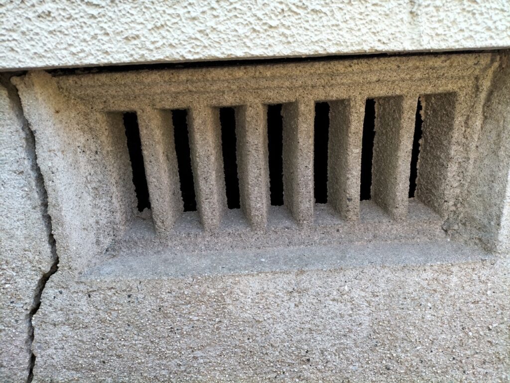 イタチ対策工事(大分市W様邸) 4