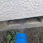 座間市のネズミ対策工事|I様邸 8