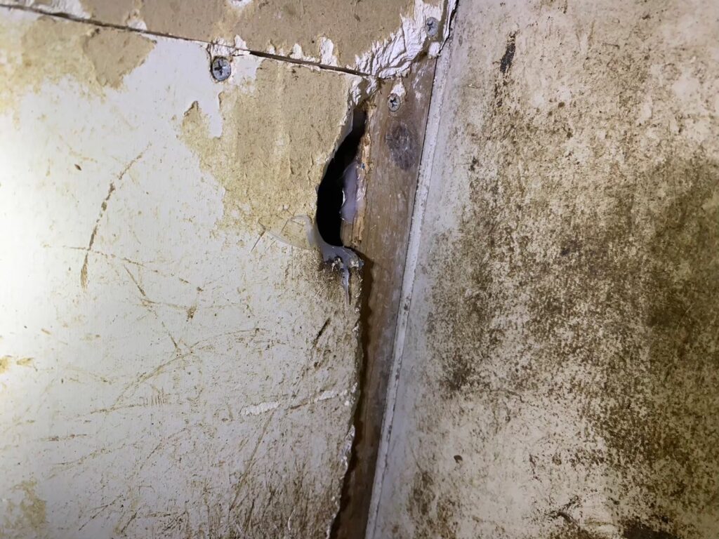 福岡市のネズミ対策工事一式|M様店舗 17