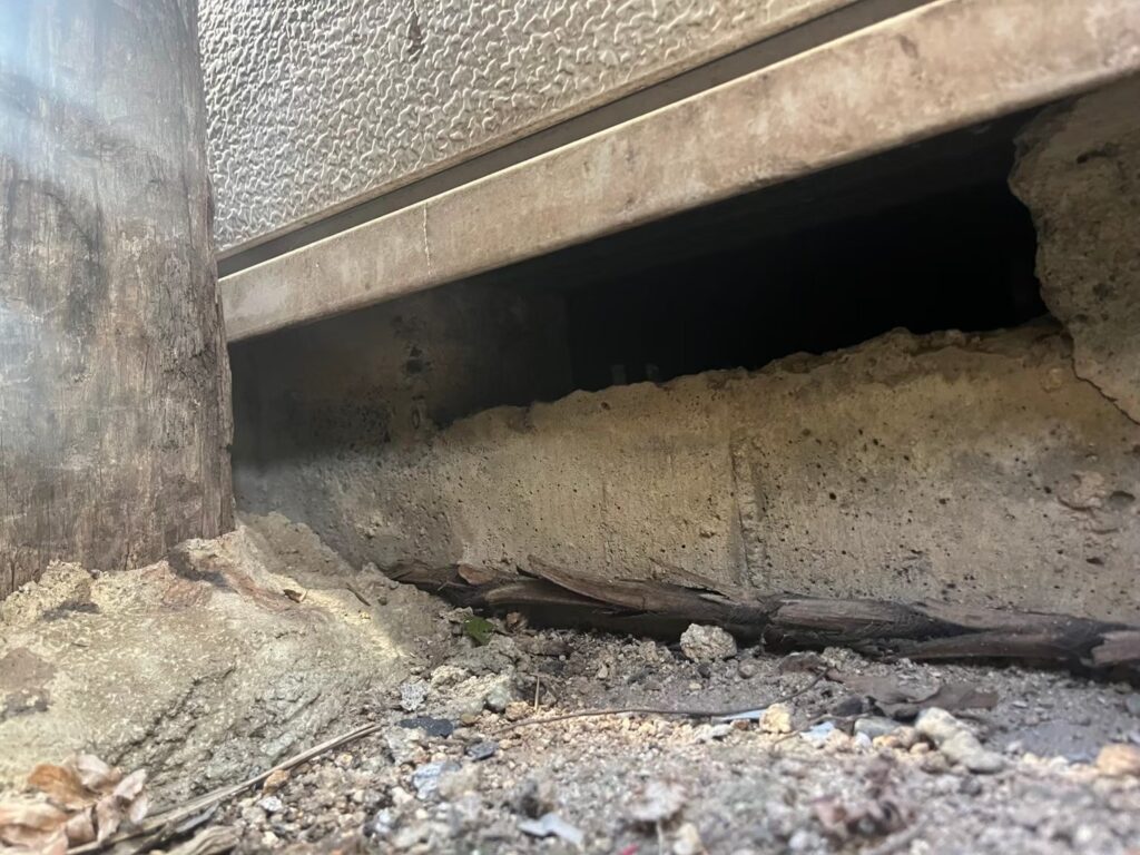 横浜市のアライグマ対策工事|Y様邸 20