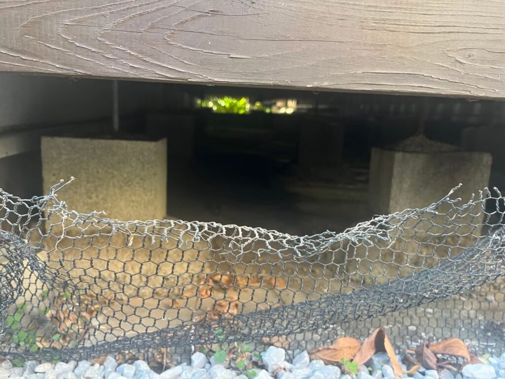 横浜市のアライグマ対策工事|Y様邸 24