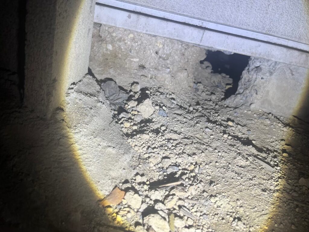 横浜市のアライグマ対策工事|Y様邸 23