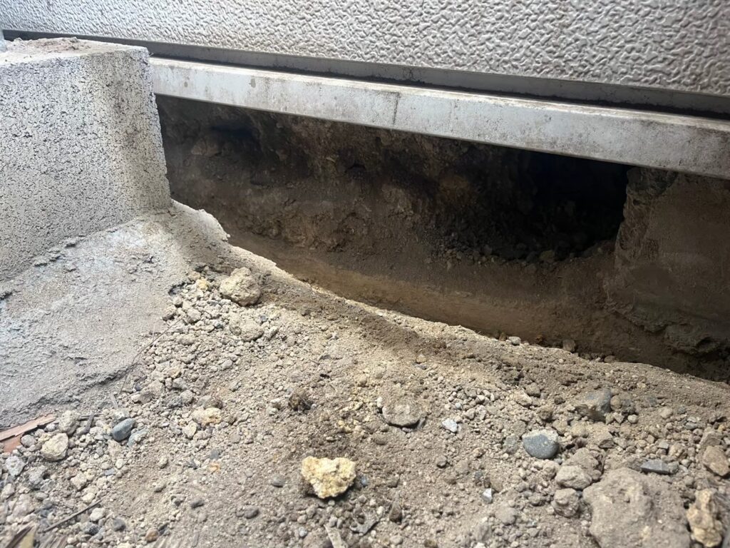 横浜市のアライグマ対策工事|Y様邸 22