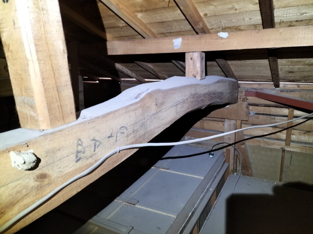 イタチ対策工事(大分市W様邸) 1