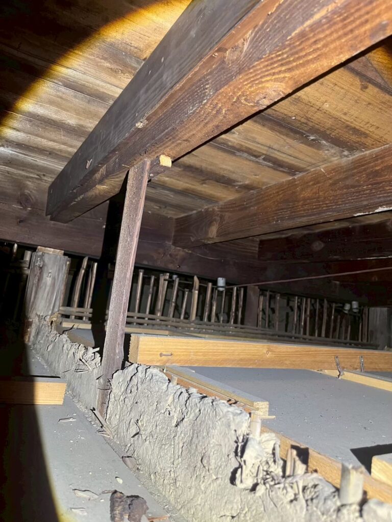 高崎市のネズミ・ハクビシン対策工事｜A様邸 1