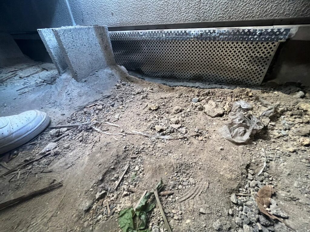 横浜市のアライグマ対策工事|Y様邸 21