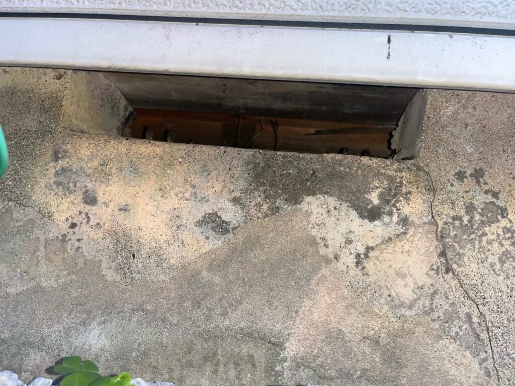 横浜市のアライグマ対策工事|Y様邸 4