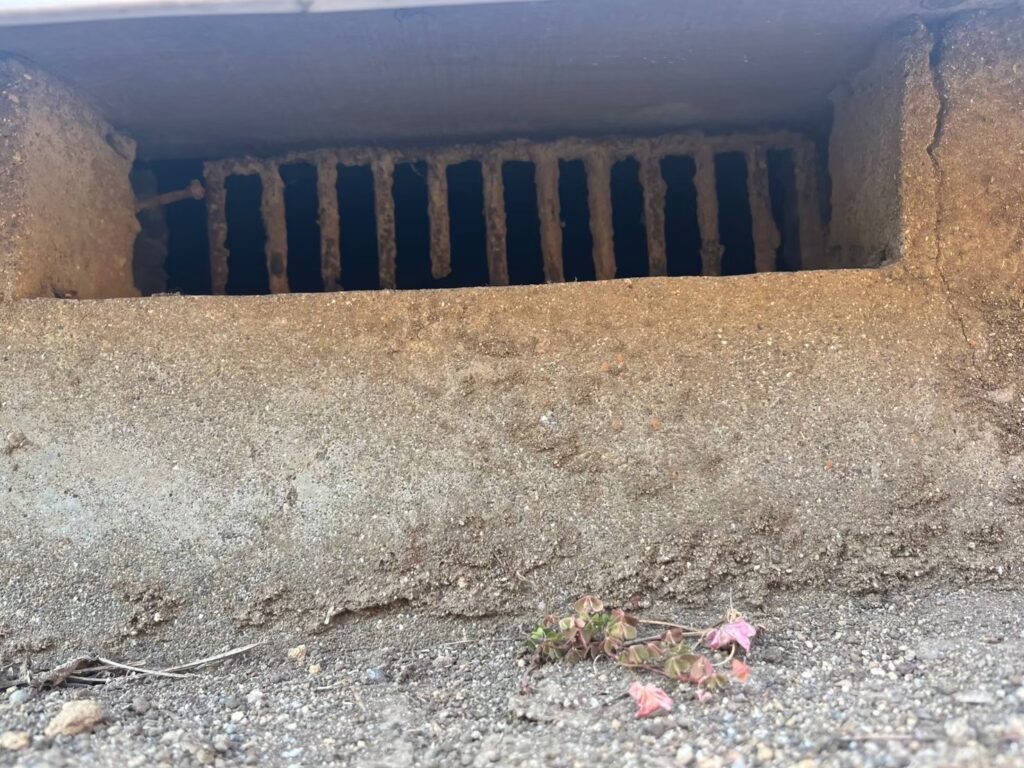 横浜市のアライグマ対策工事|Y様邸 5