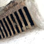 座間市のネズミ対策工事|I様邸 20