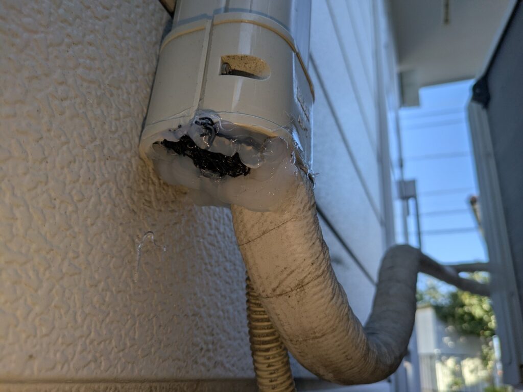 横浜市のアライグマ対策工事|Y様邸 6