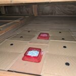 座間市のネズミ対策工事|I様邸 14