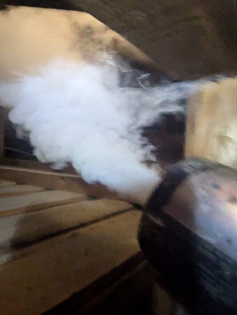 イタチ対策工事(大分市W様邸) 10