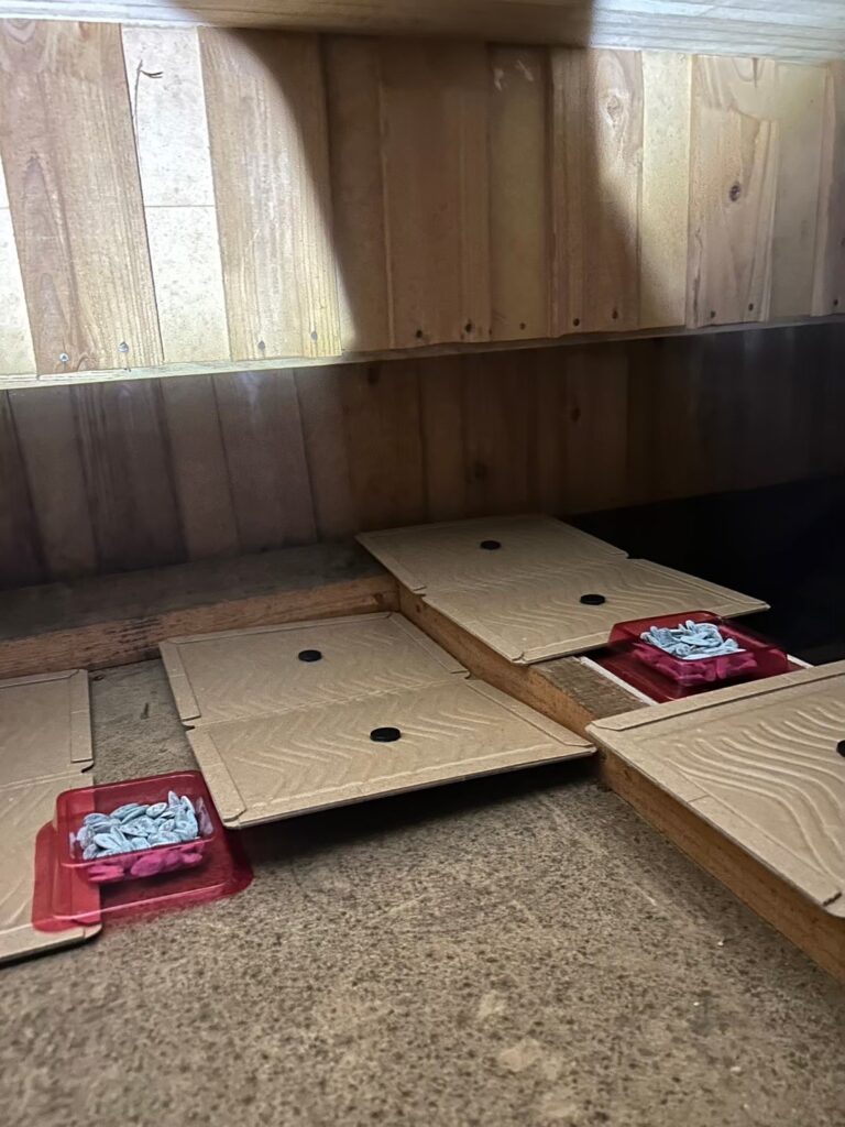 下都賀郡のネズミ・コウモリ対策工事一式|U様邸 10