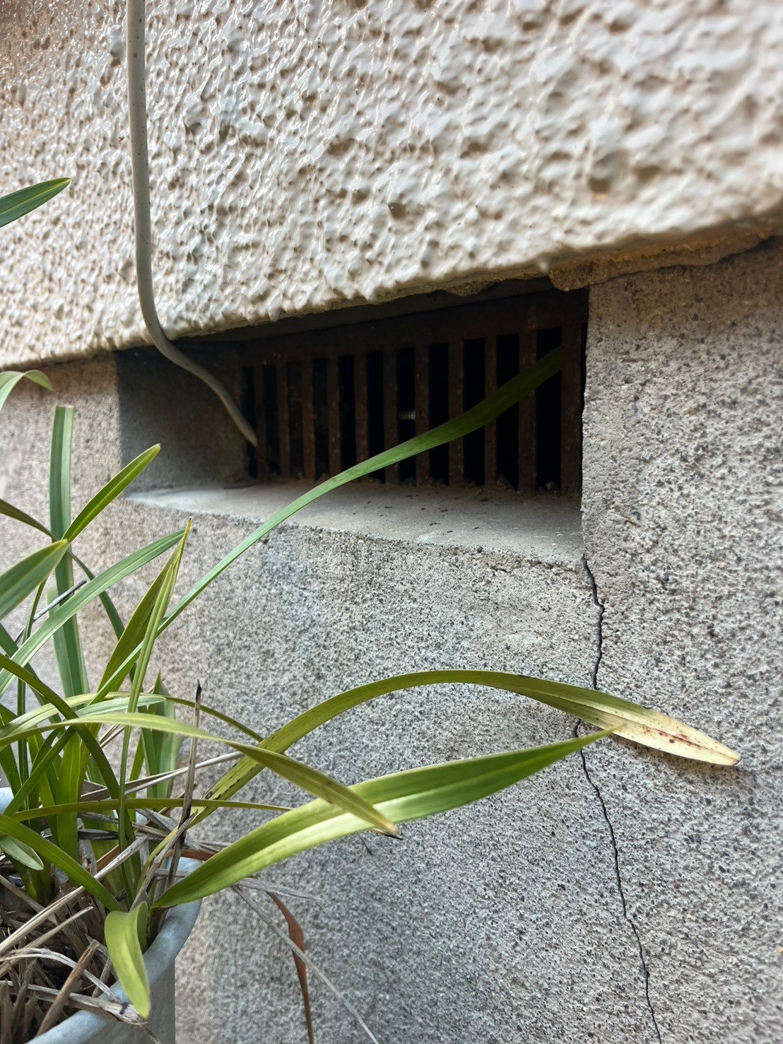 志木市のネズミ対策工事|O様邸 ビフォー
