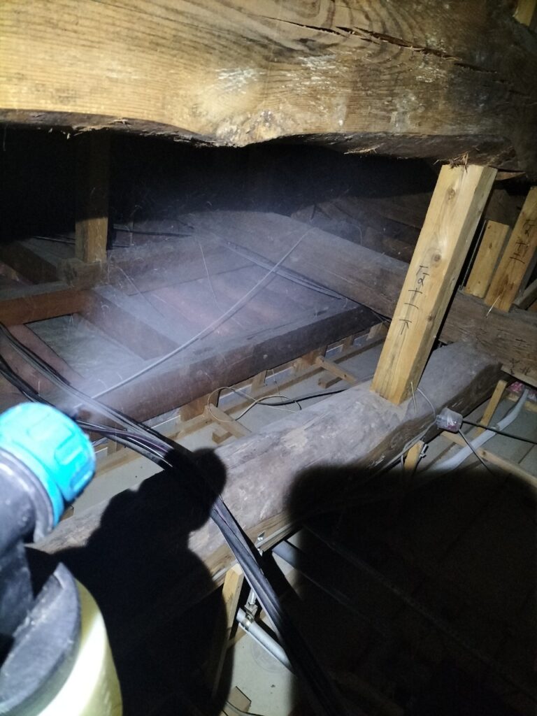 ネズミ・中型対策工事（光市O様邸） 9