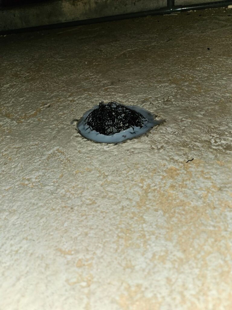 所沢市のネズミ対策工事|I様邸 2