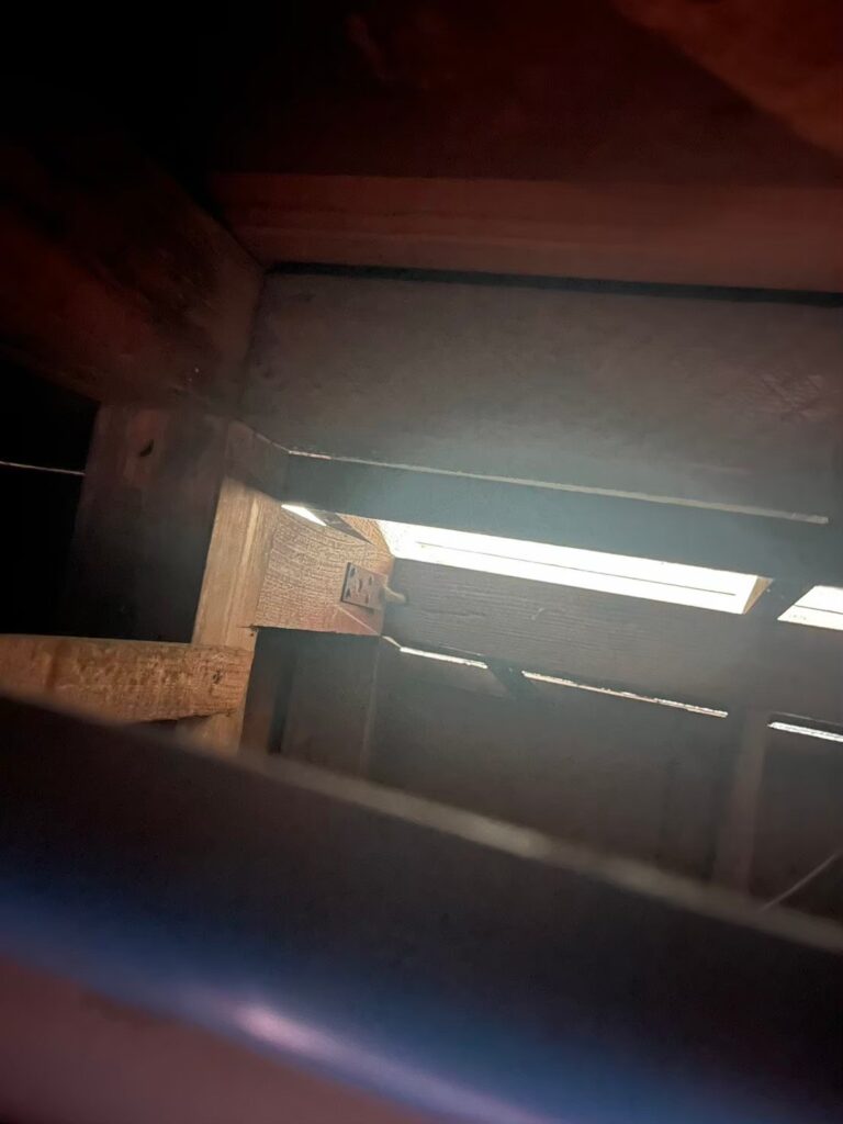 厚木市のハクビシン対策工事一式|A様邸 2