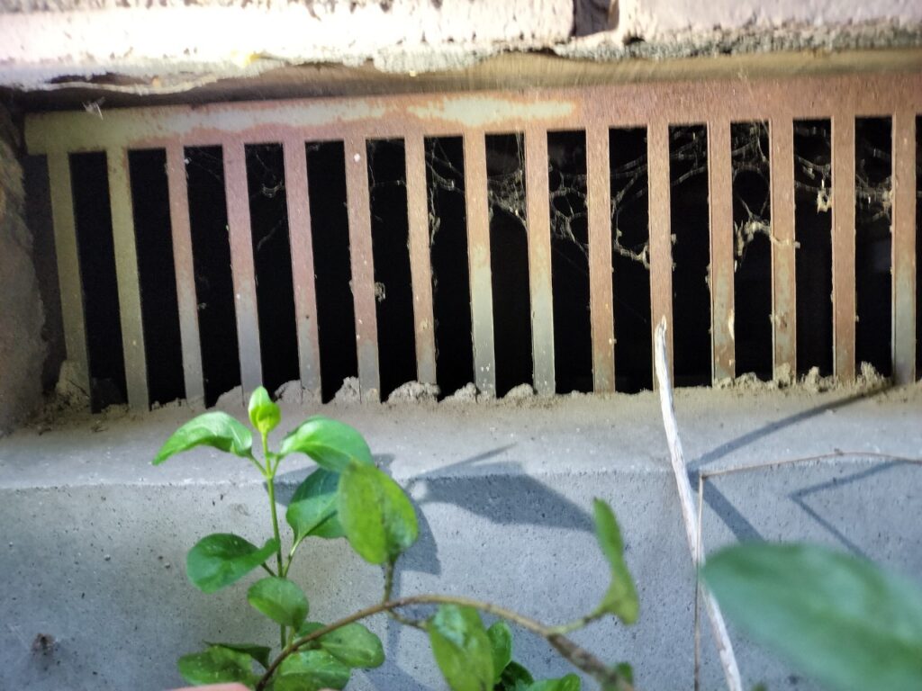 熊谷市のネズミ対策工事|T様邸 4