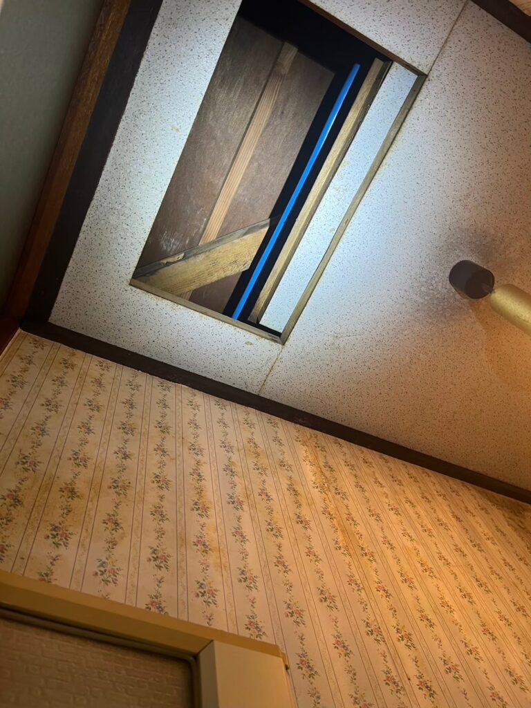 厚木市のハクビシン対策工事一式|A様邸 5