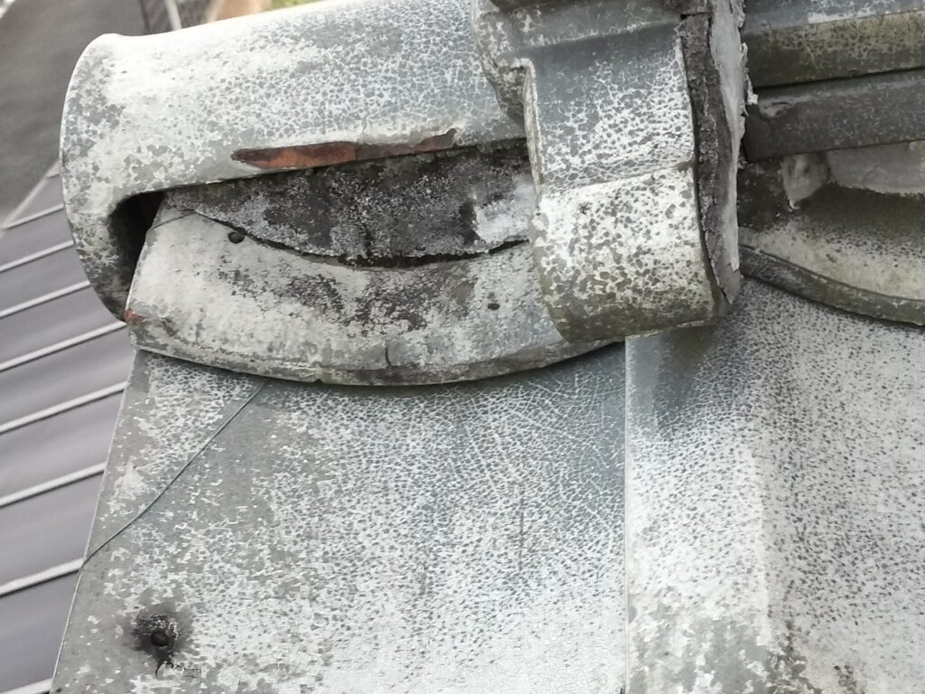 熊谷市のネズミ対策工事|T様邸 5