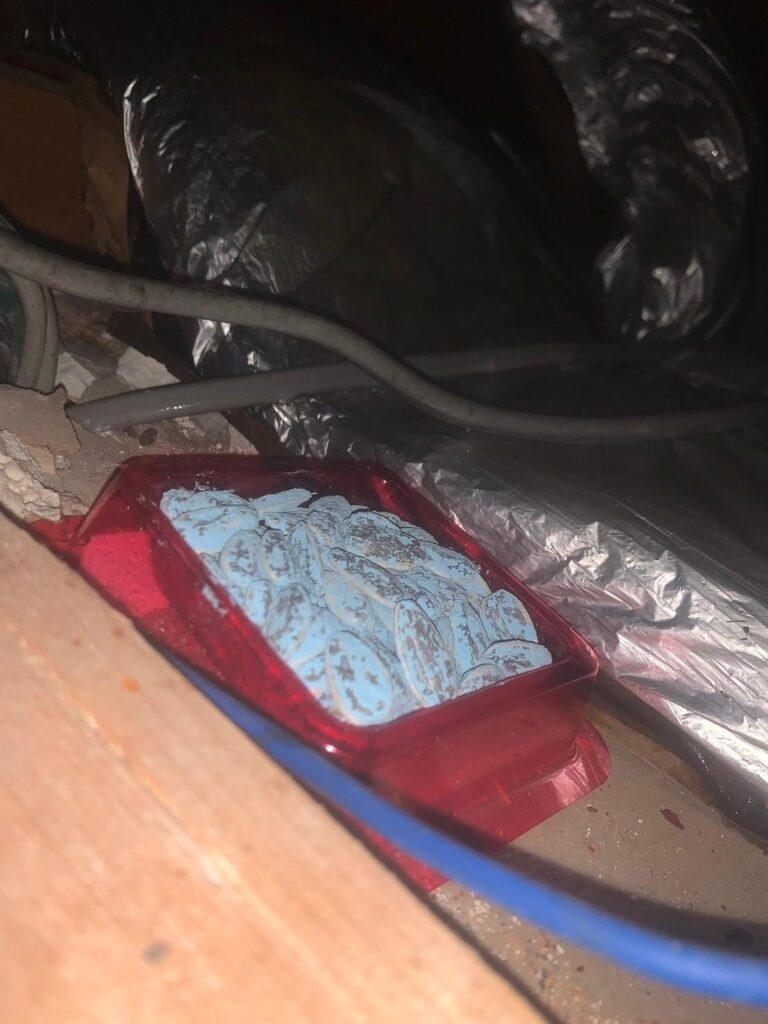 北区のネズミ対策工事一式|I様邸 4