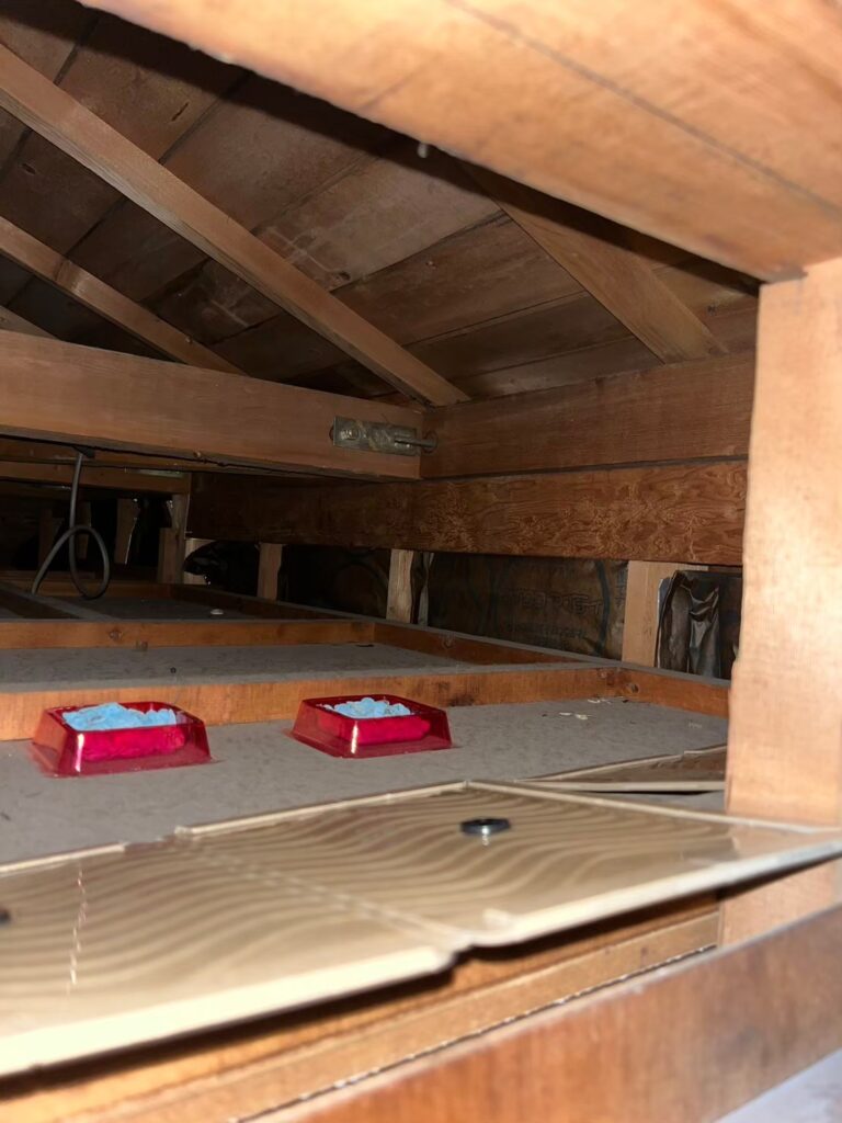横浜市のネズミ対策工事|N様邸 3