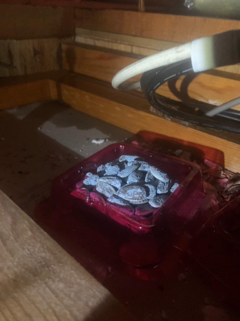 北区のネズミ対策工事一式|I様邸 10