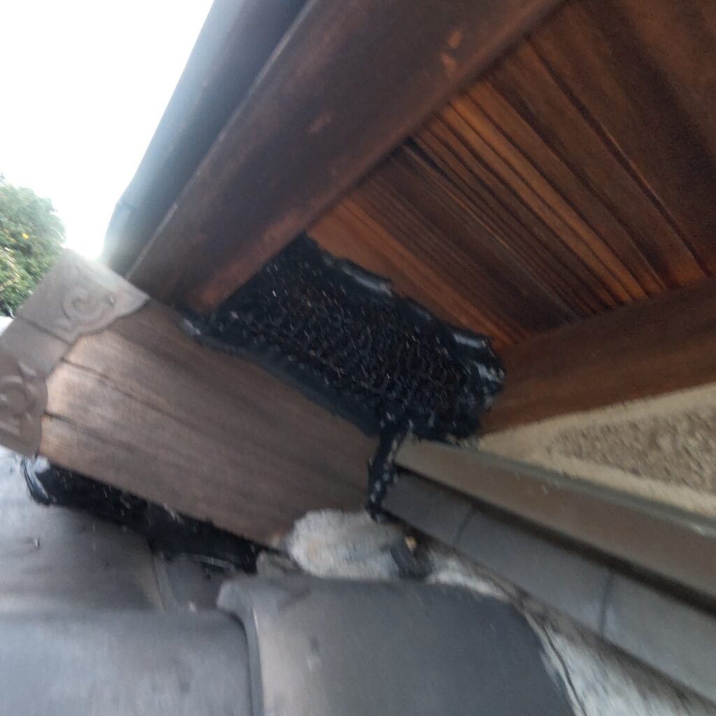 坂戸市のネズミ・アライグマ対策工事|M様邸 8